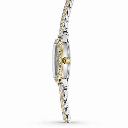 Festina Black Dial Crystal Chevron Watch