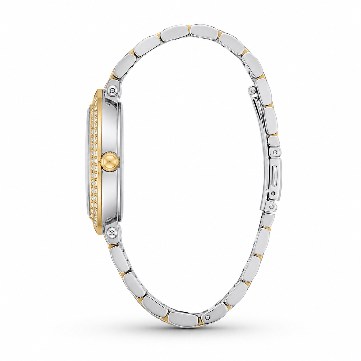 Golden Aura Two-Tone Watch