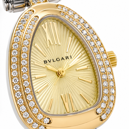 Golden Aura Two-Tone Watch