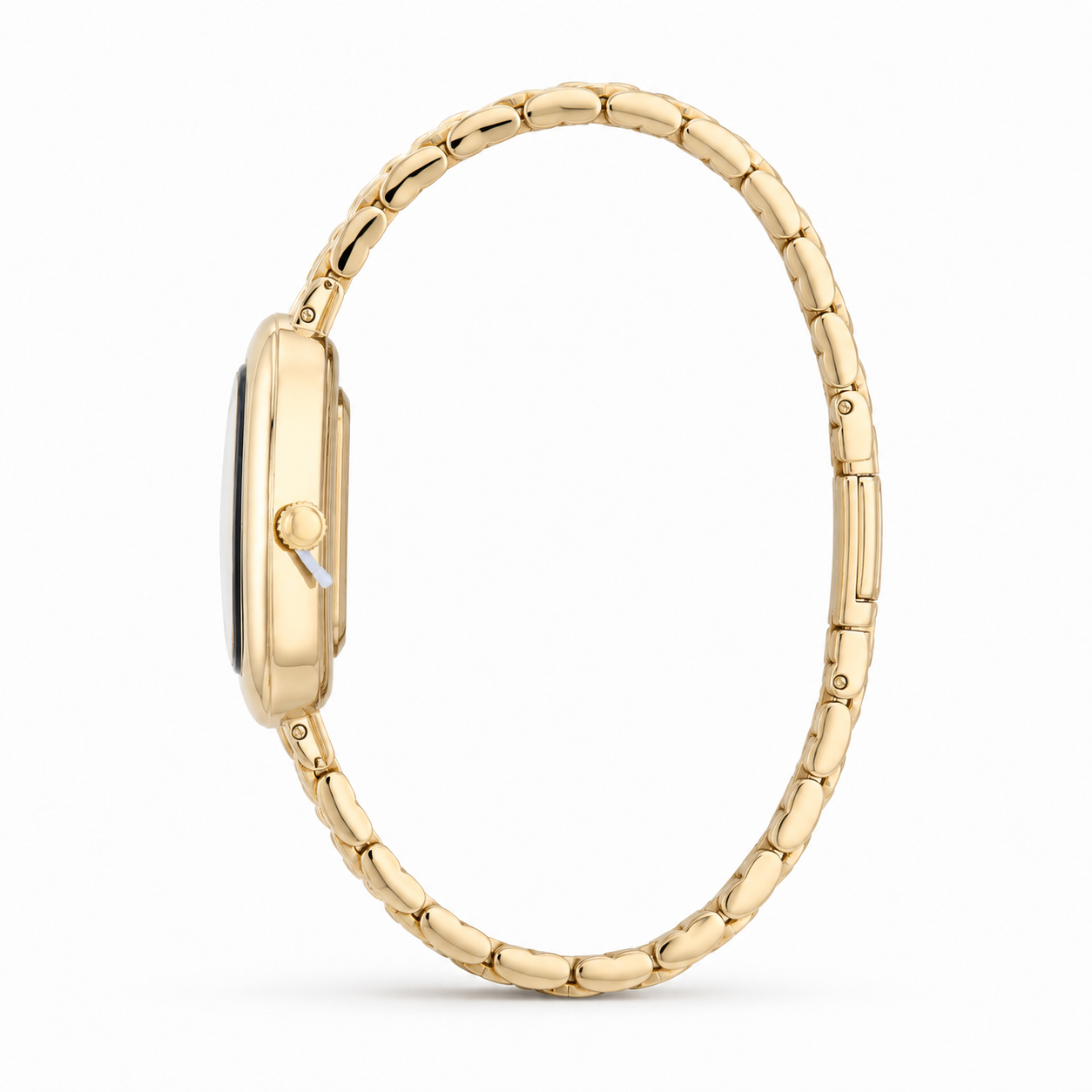 Aurora Muse Watch